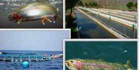 “Naturix Cantabria” Эко-инкубатор рыбы и морепродуктов в Испании