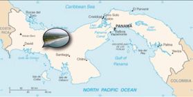 Панама, пляж Тихий океан. Коттеджный посёлок, офисы-ТКЦ, гостиница.
